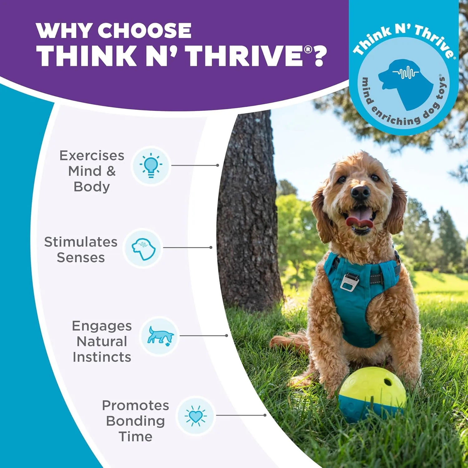 Outward Hound by Nina Ottosson Treat Tumble Interactive Puzzle Ball Dog Toy, Level 1 Beginner, Blue, Small