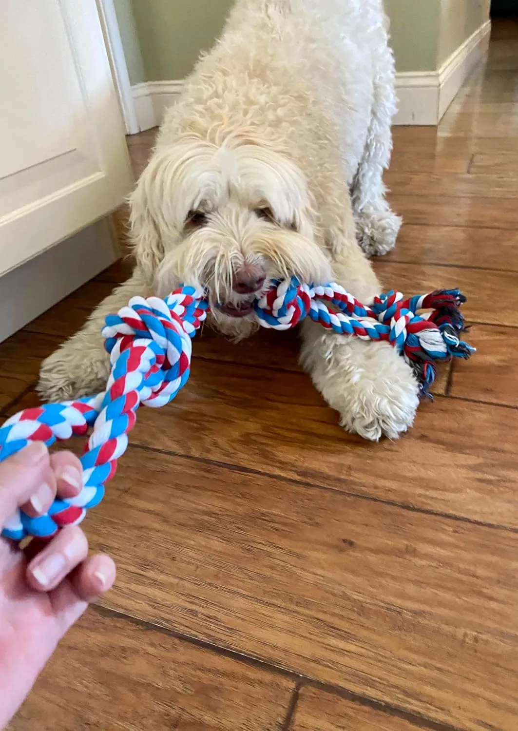 Pacific Pups Products 2 Pack Red - XL Dog Rope Toy for Aggressive Chewers - Benefits Non-Profit Dog Rescue - Tug of War Dog Toy, Dog Toys for Large Dogs, Tough Dog Toys for Aggressive Chewers