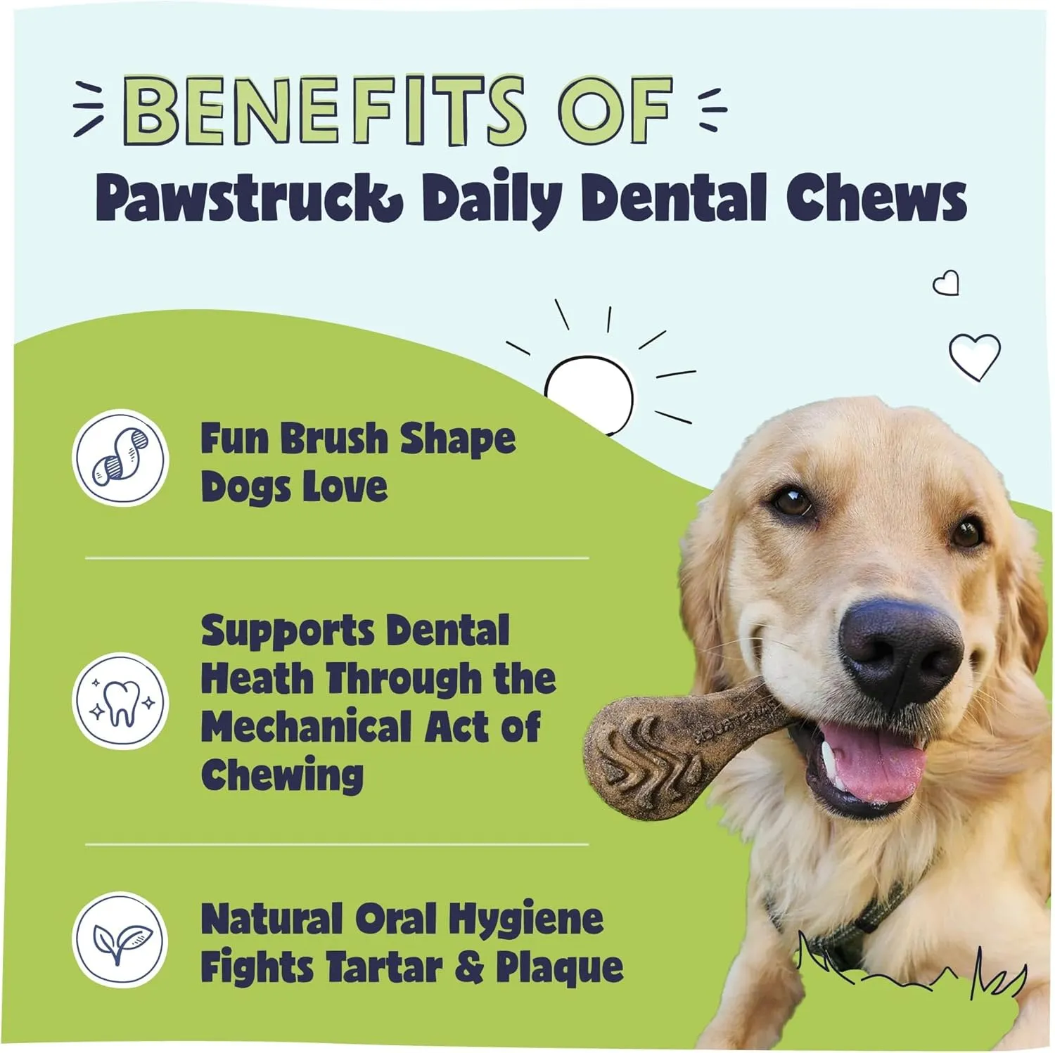 Pawstruck Natural Dental Chews for Medium Large Dogs & Puppies - Vet Recommended Brush Stick Treats Made in USA Breath Freshener to Improve Oral Hygiene & Clean Teeth - 15 Count - Packaging May Vary