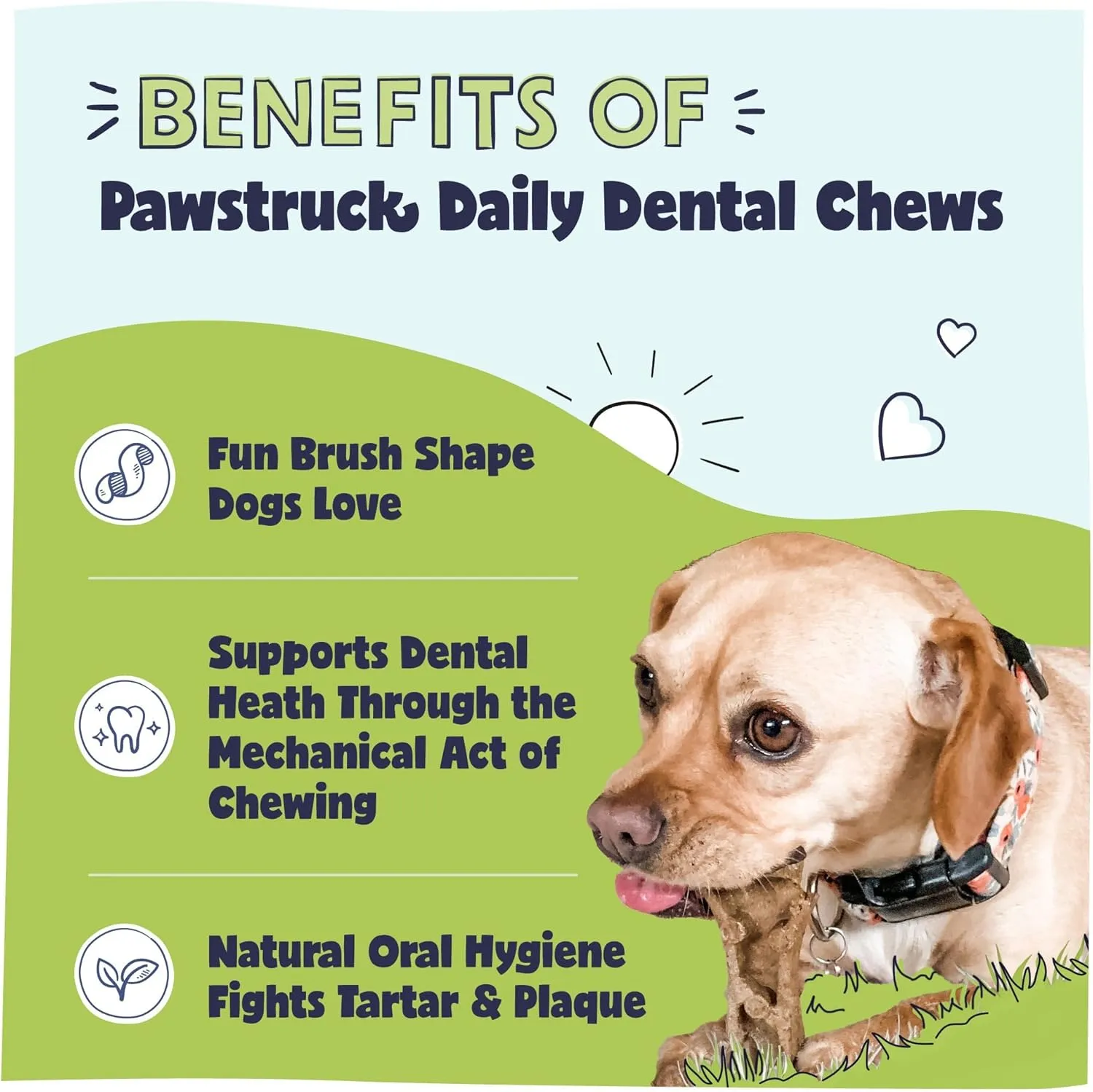 Pawstruck Natural Dental Chews for Small Medium Dogs & Puppies - Vet Recommended Brush Stick Treats Made in USA Breath Freshener to Improve Oral Hygiene & Clean Teeth - 15 Count - Packaging May Vary