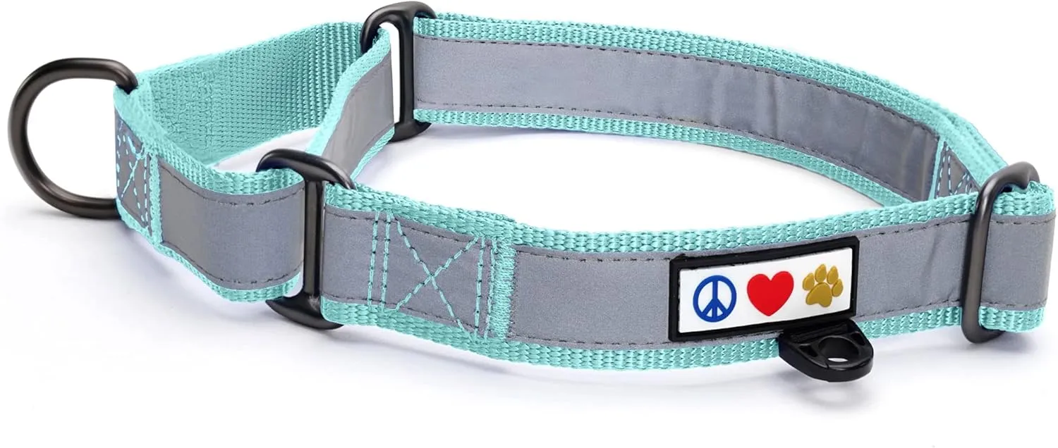 Pawtitas Personalized Dog Collar Martingale Dog Collar with Name Phone Number Reflective Martingale Dog Collar Customized Collar for Small Dogs | Teal Custom Dog Collars for Small Dogs