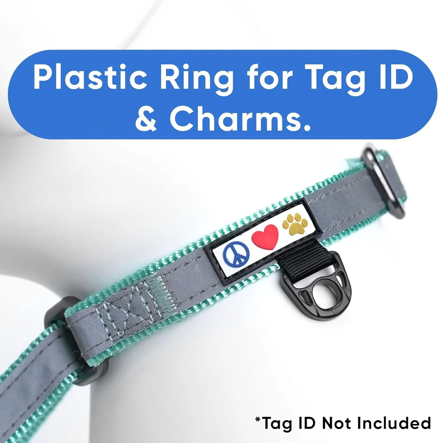 Pawtitas Personalized Dog Collar Martingale Dog Collar with Name Phone Number Reflective Martingale Dog Collar Customized Collar for Small Dogs | Teal Custom Dog Collars for Small Dogs