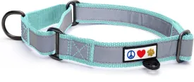 Pawtitas Personalized Dog Collar Martingale Dog Collar with Name Phone Number Reflective Martingale Dog Collar Customized Collar for Small Dogs | Teal Custom Dog Collars for Small Dogs
