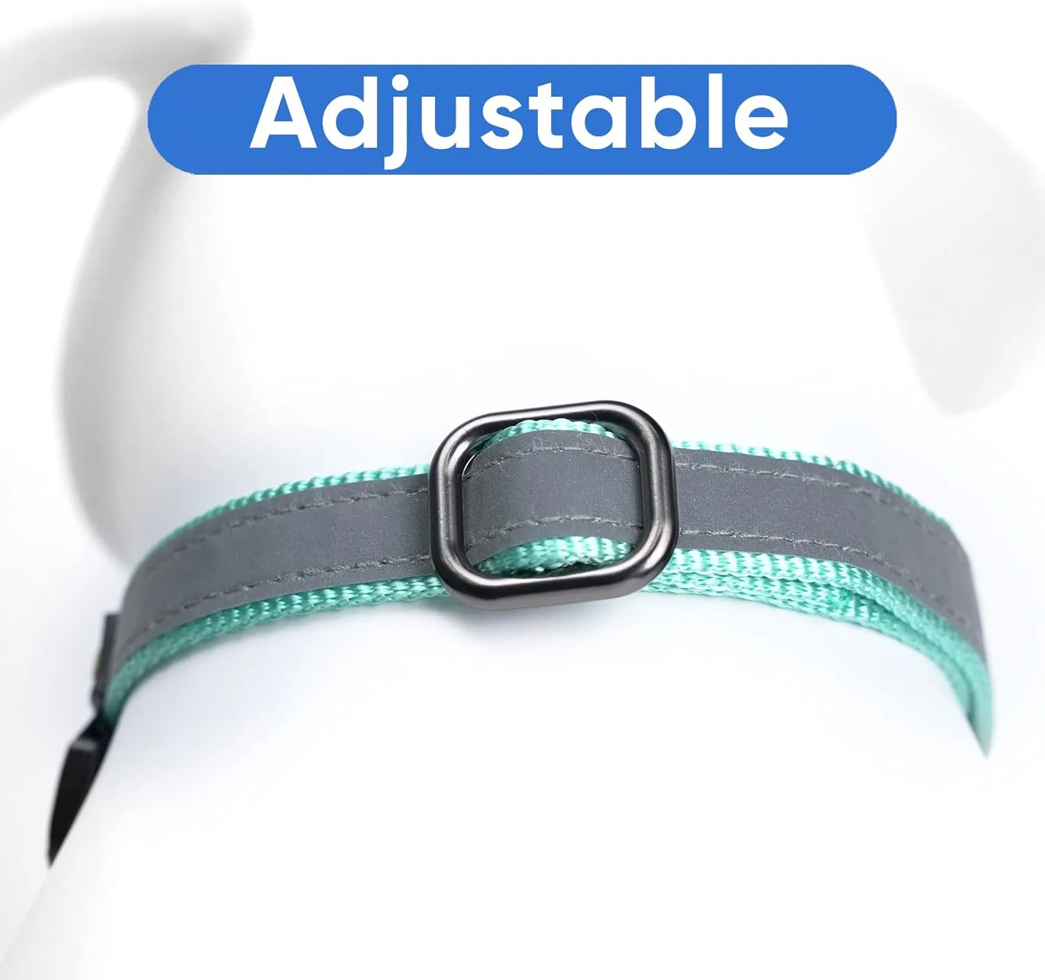 Pawtitas Personalized Dog Collar Martingale Dog Collar with Name Phone Number Reflective Martingale Dog Collar Customized Collar for Small Dogs | Teal Custom Dog Collars for Small Dogs