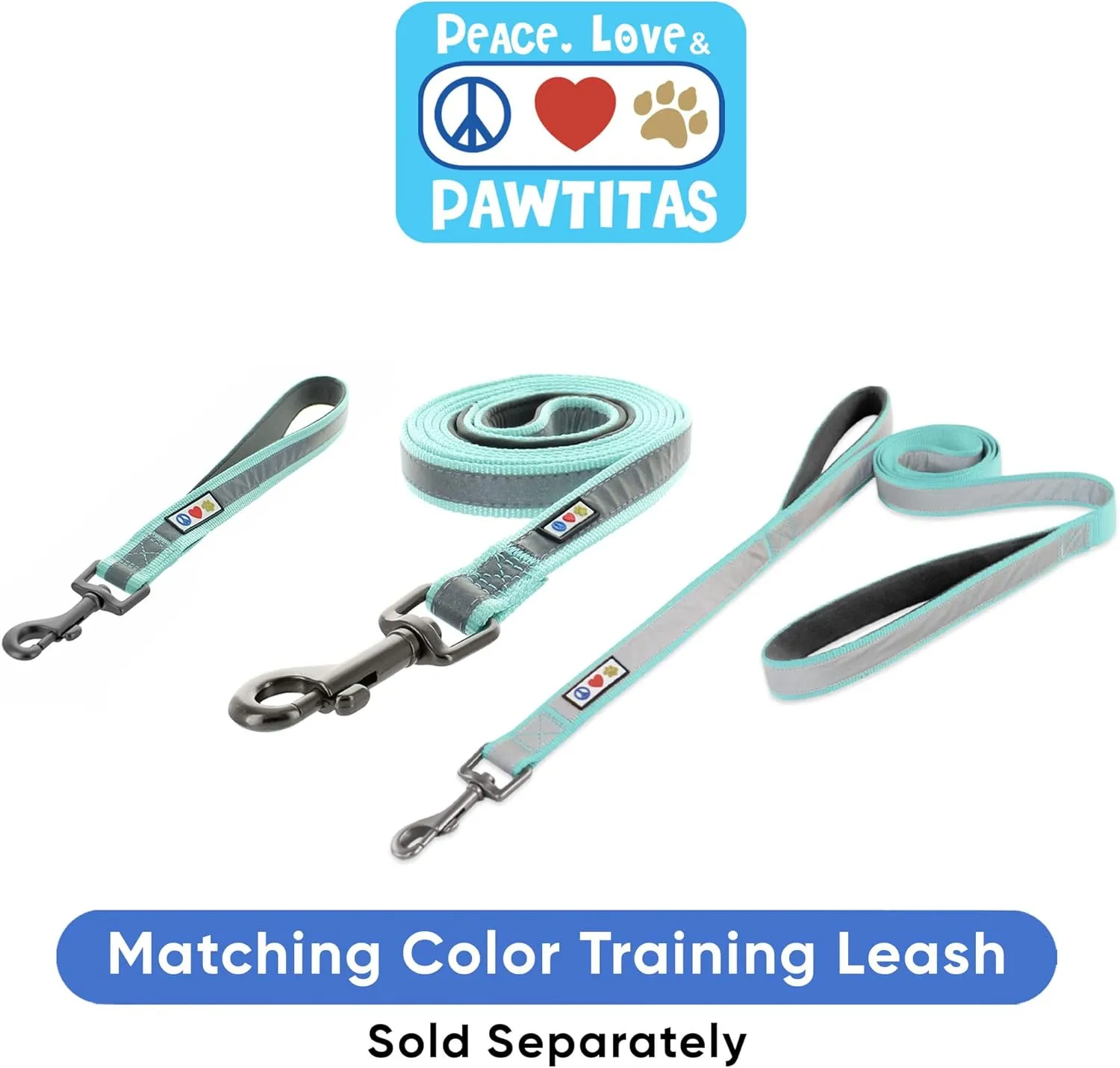 Pawtitas Personalized Dog Collar Martingale Dog Collar with Name Phone Number Reflective Martingale Dog Collar Customized Collar for Small Dogs | Teal Custom Dog Collars for Small Dogs