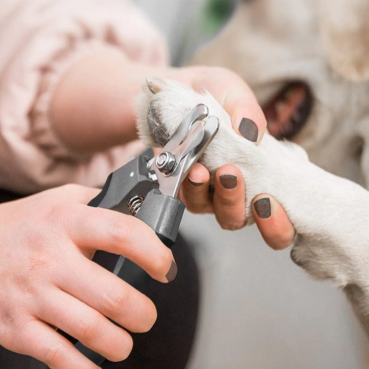 Pet Nail Clippers and Trimmers Set Safety Guard to Avoid Over Cutting Razor Sharp Blades Grooming Tool for All Small Large Dog Cat (Grey)