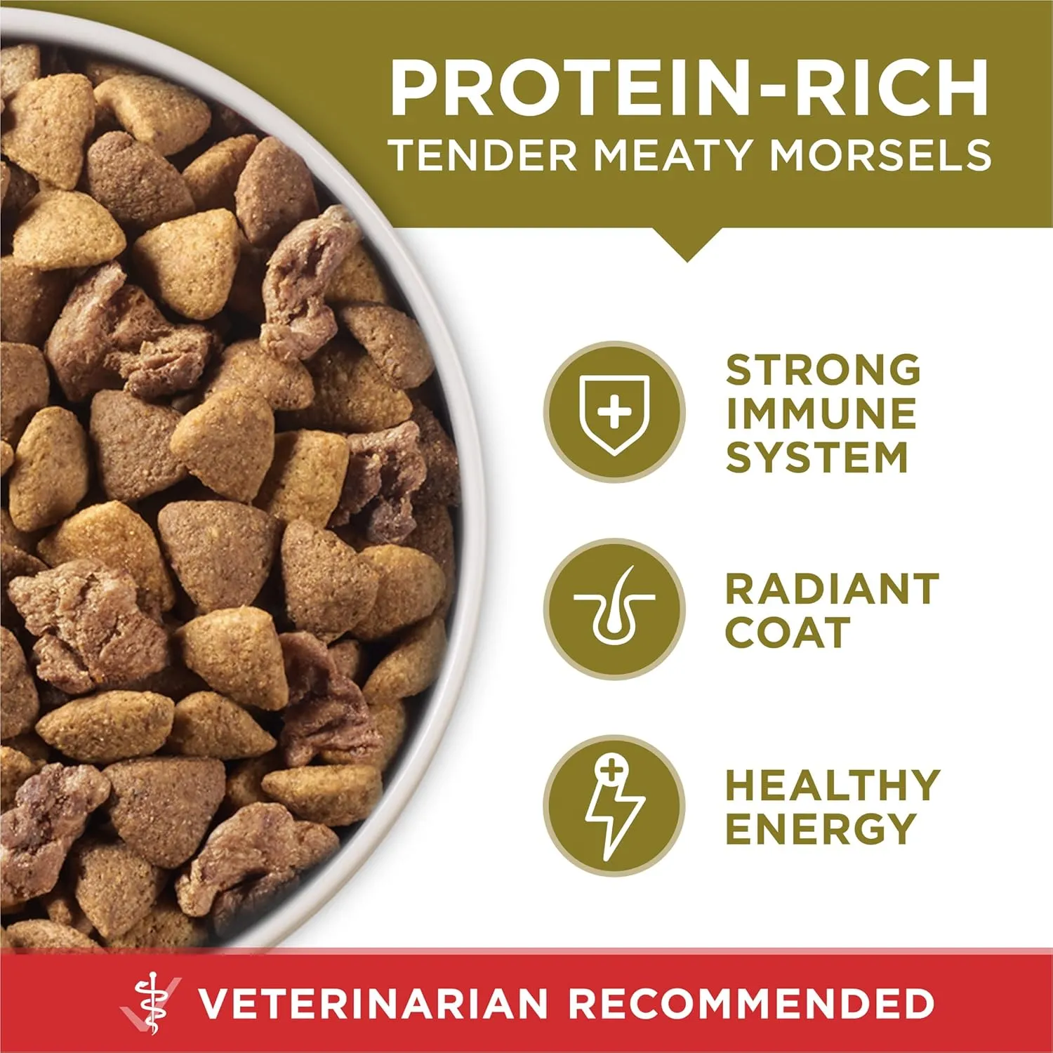 Purina ONE Dry Dog Food Lamb and Rice Formula - 8 lb. Bag