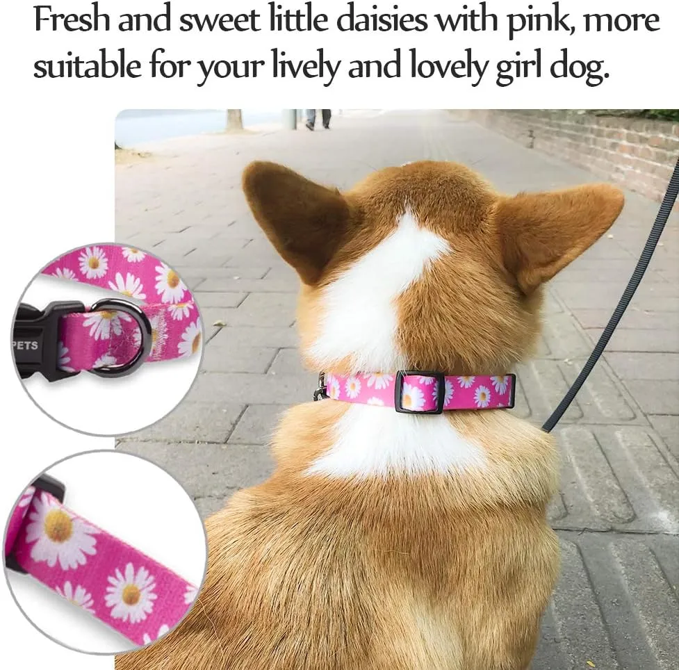 QQPETS Adjustable Soft Dog Collar: Print Flower Pink Multicolor Cute Patterns for XS Small Medium Large Pet Girl Boy Puppy Walking Running Training (L, Small Daisies)