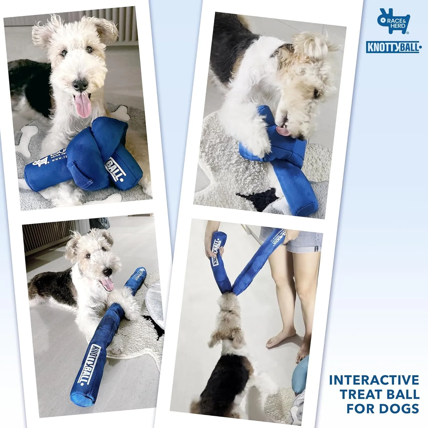 Race&Herd | KnottyBall Dog Toys Interactive | Snuffle Ball | Sniffle Ball and Puzzle Toy for Any Size Dogs | Encourage Natural Foraging Skills | Dog Enrichment Toys for Training and Stress Relief
