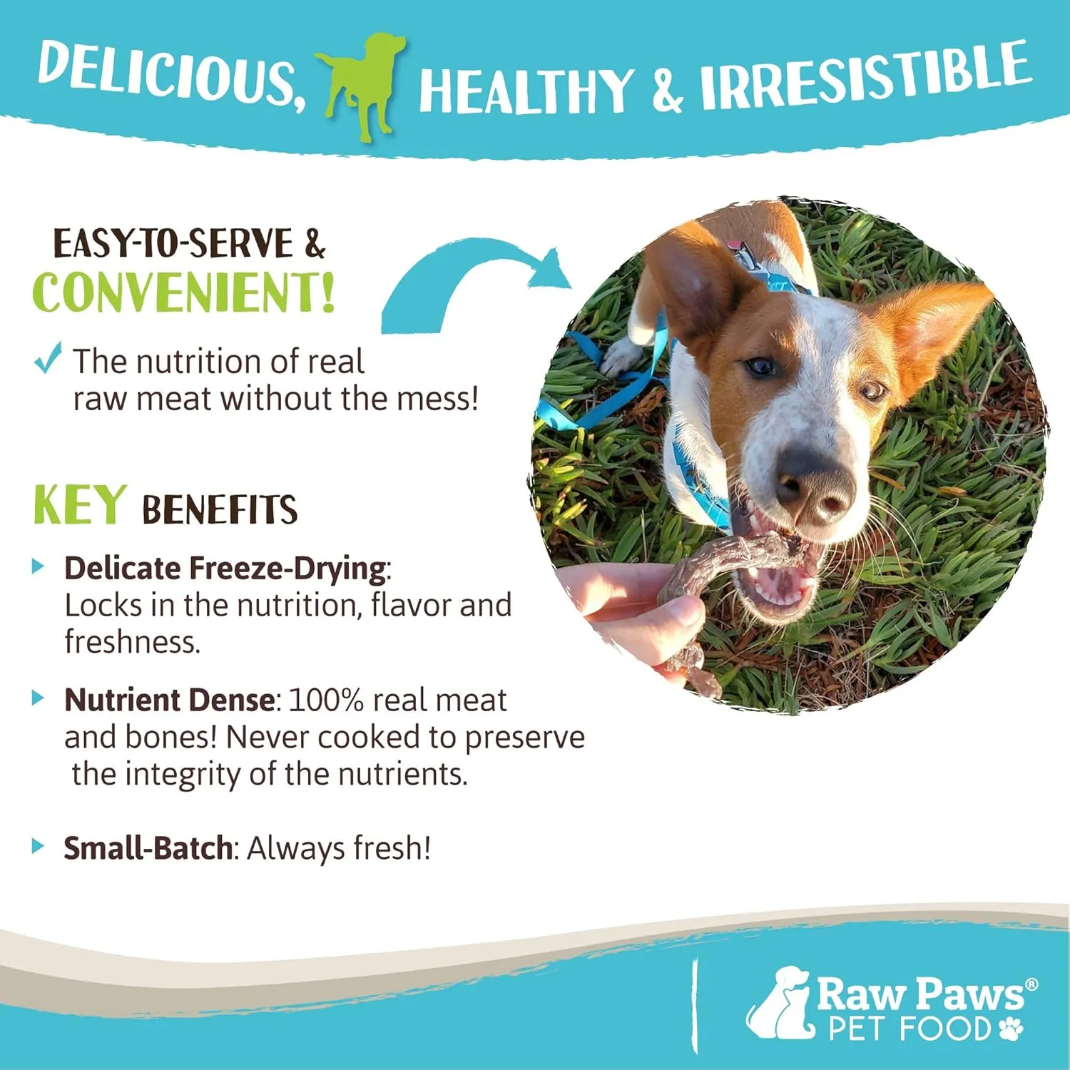 Raw Paws Freeze-Dried Chicken Necks for Dogs & Cats, 4-oz - Made in USA - Raw Freeze Dried Dog Treats - Chicken Necks for Cats - Single Ingredient
