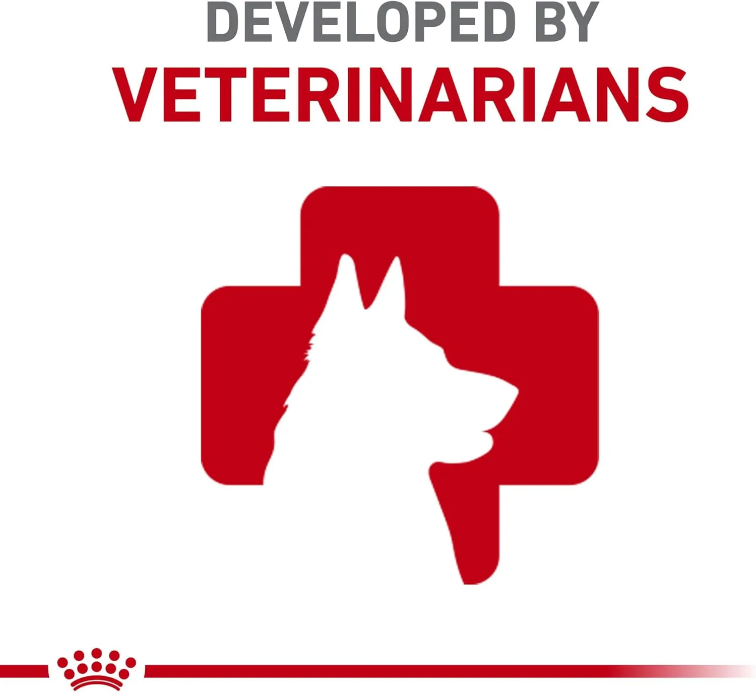 Royal Canin Cavalier King Charles Puppy Dry Dog Food, 3 lb bag