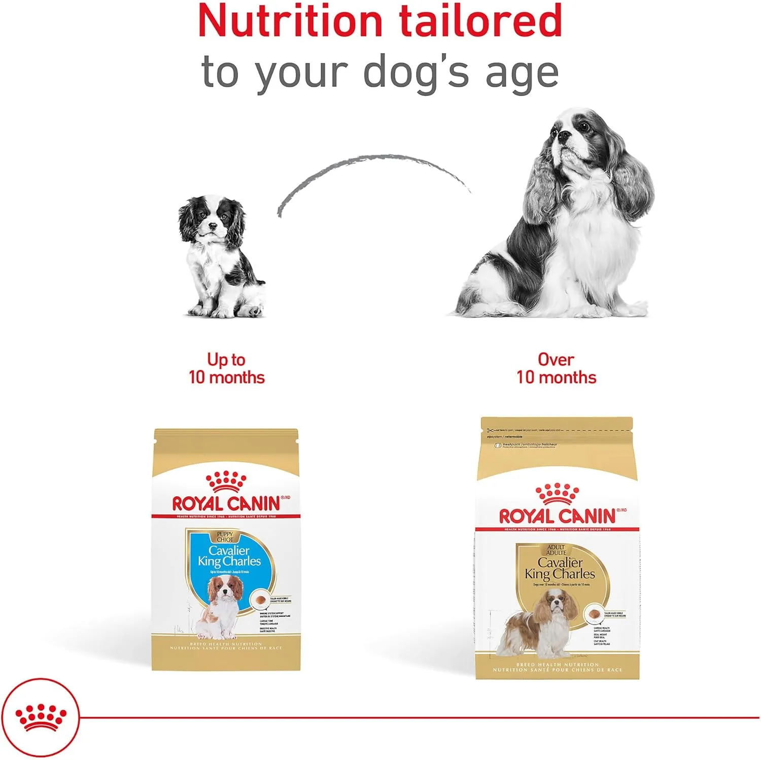 Royal Canin Cavalier King Charles Puppy Dry Dog Food, 3 lb bag
