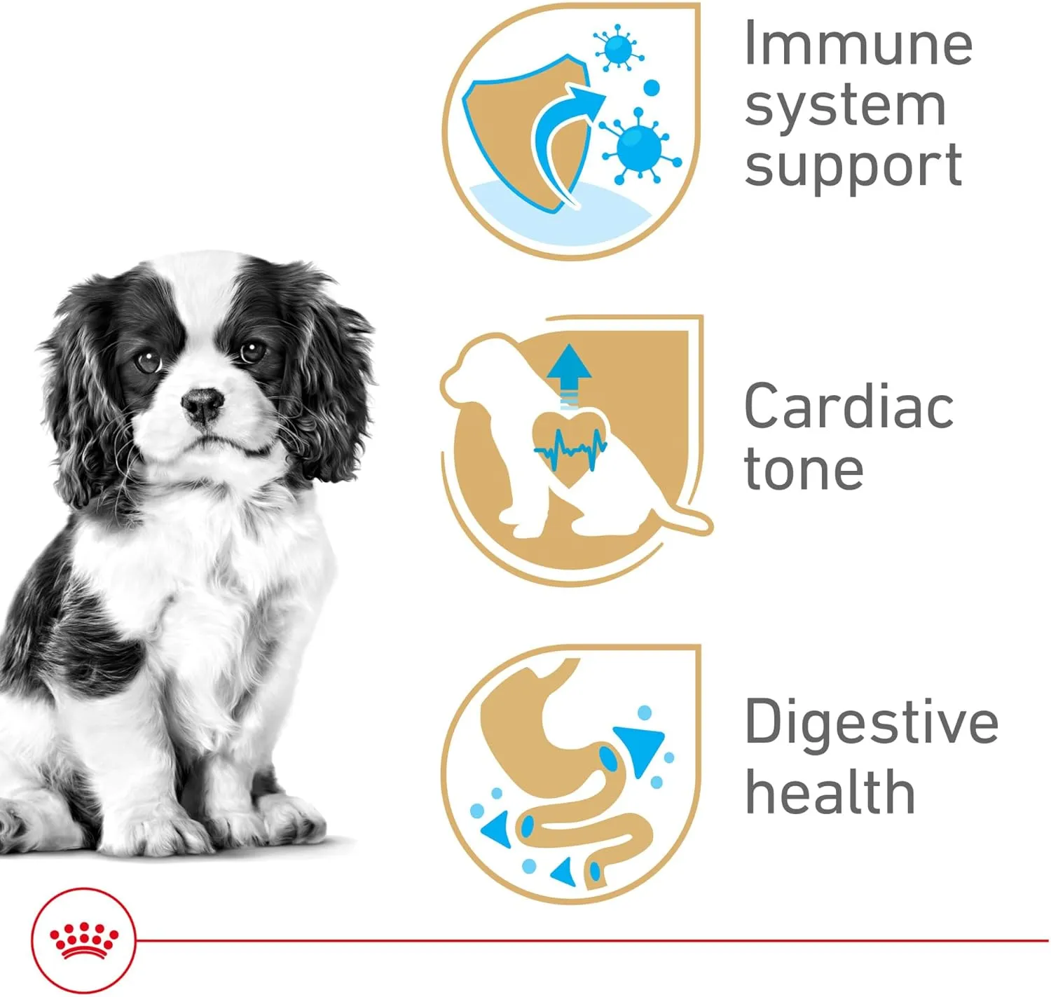 Royal Canin Cavalier King Charles Puppy Dry Dog Food, 3 lb bag