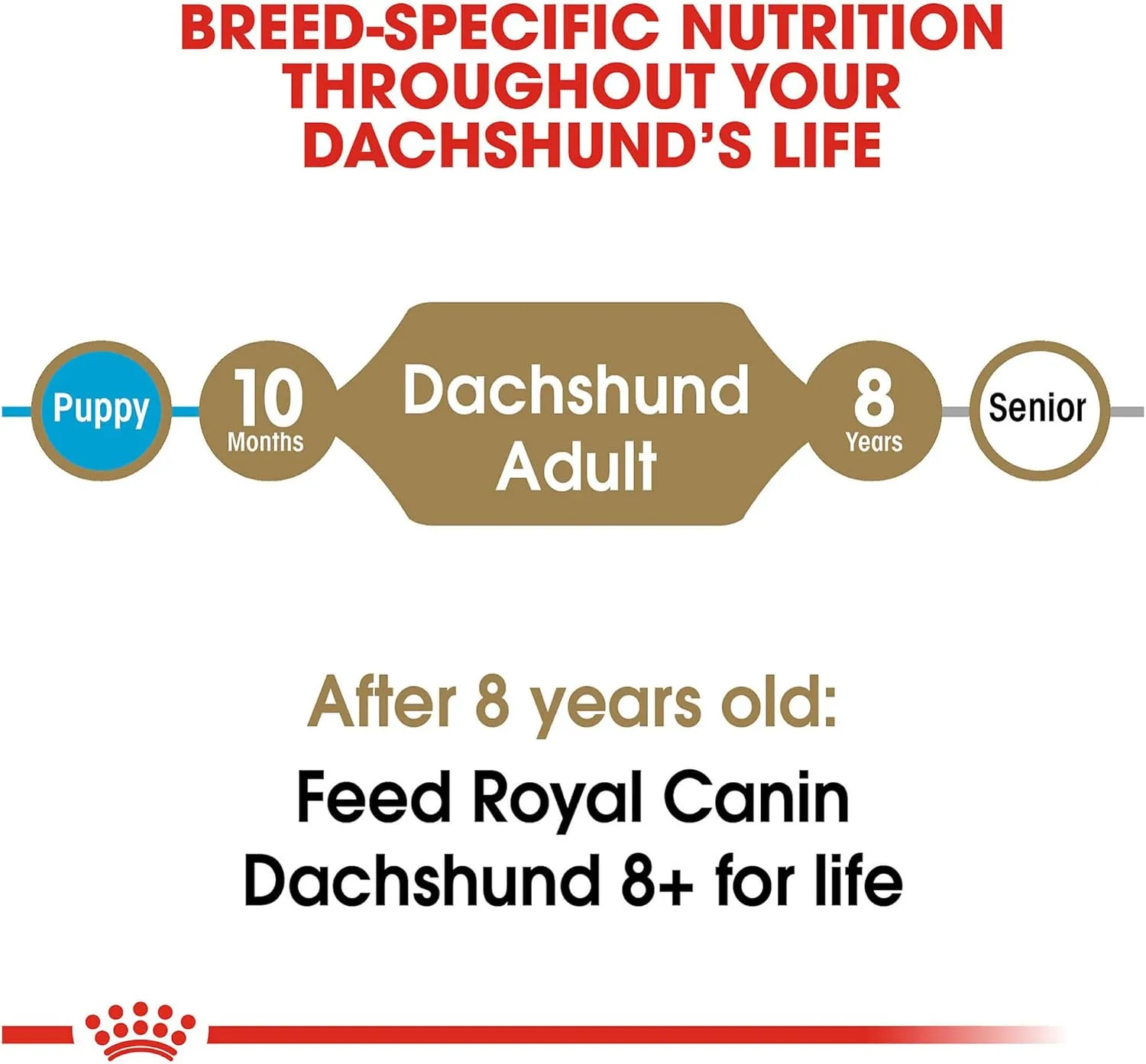 Royal Canin Dachshund Adult Breed Specific Dry Dog Food, 10 Lb bag