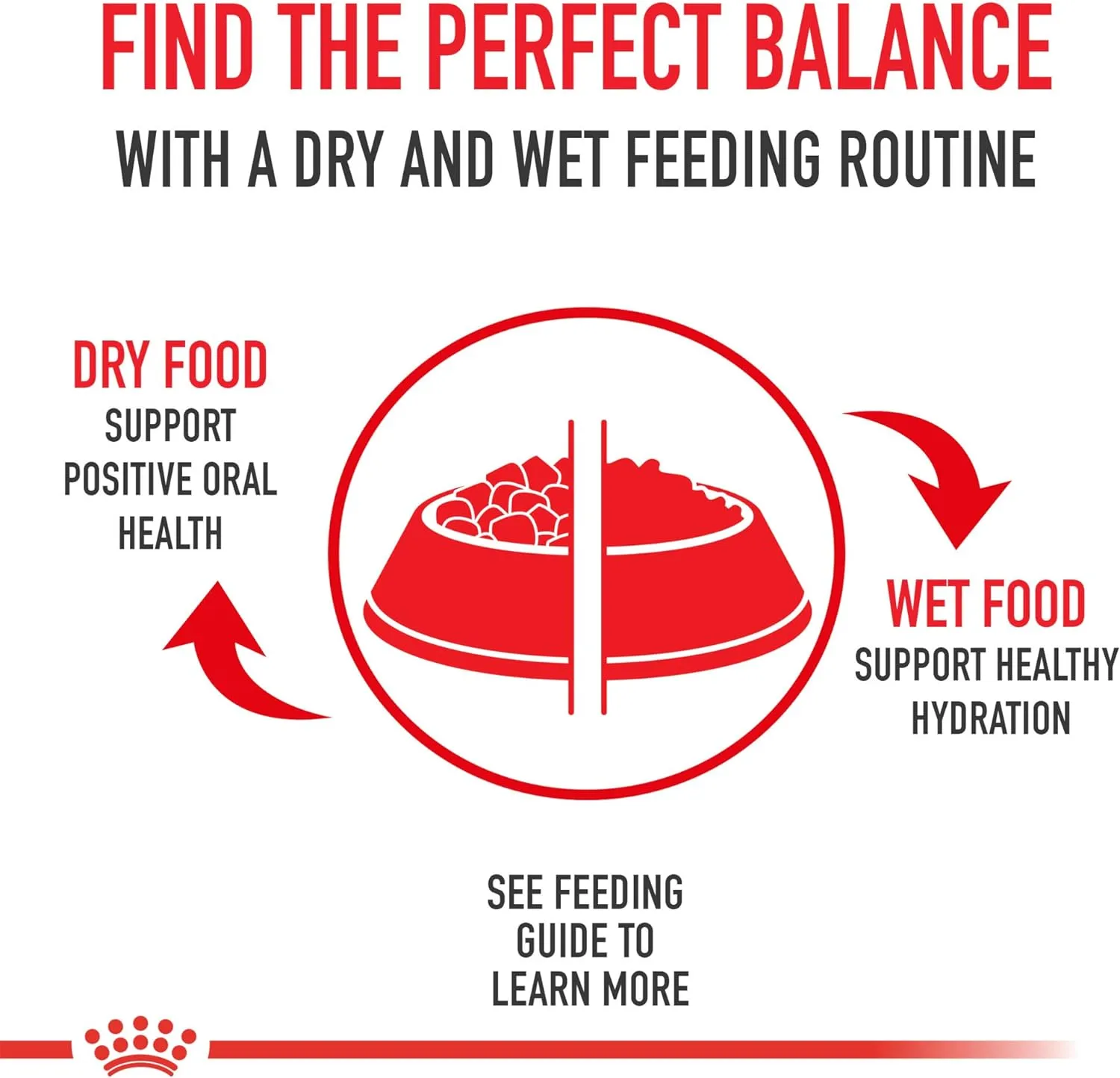 Royal Canin Yorkshire Terrier Adult 8  Dry Dog Food for Aging Dogs