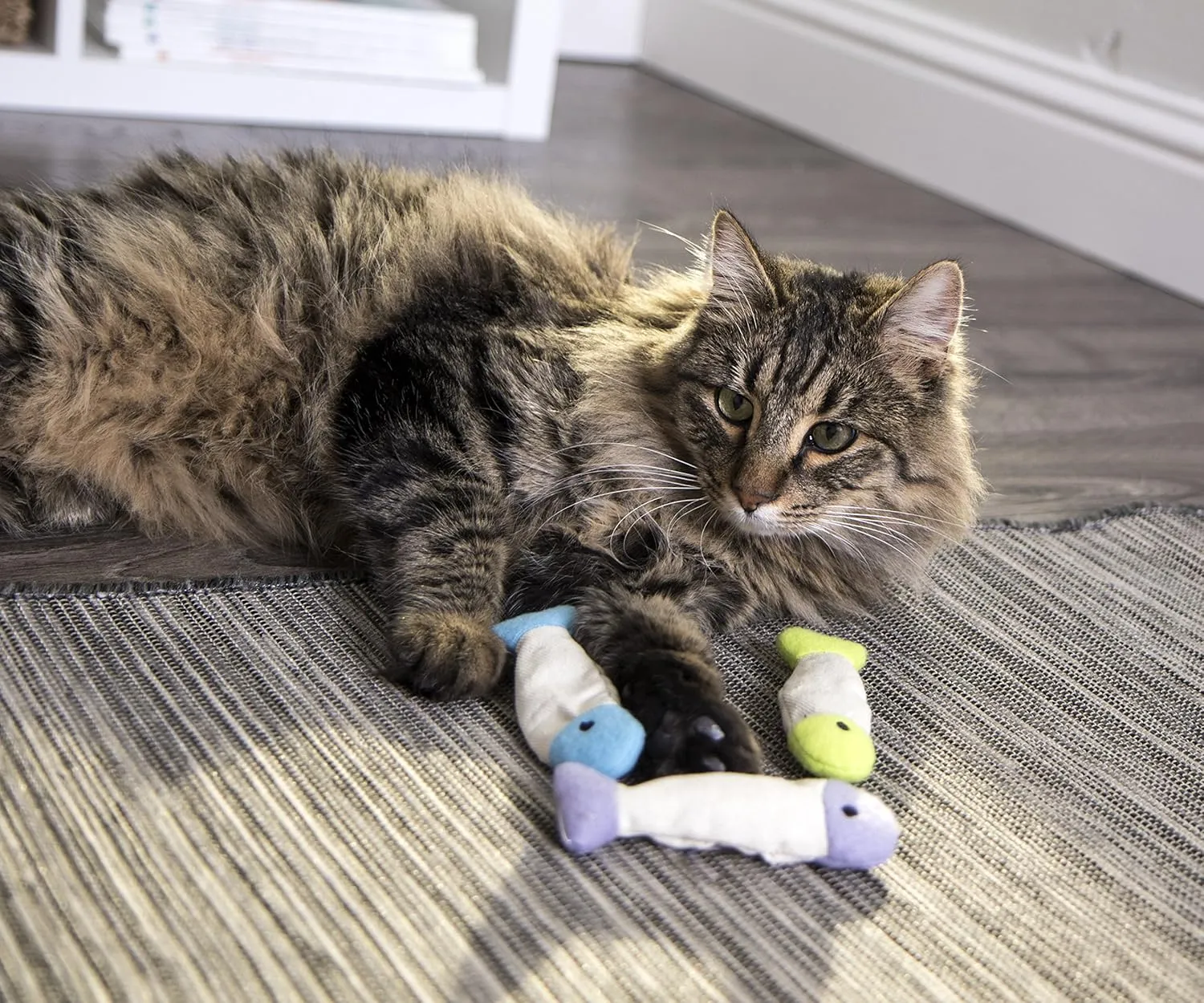 SmartyKat (3 Count) Fish Flop Crinkle Catnip Cat Toys - Multi Color, 3 Count