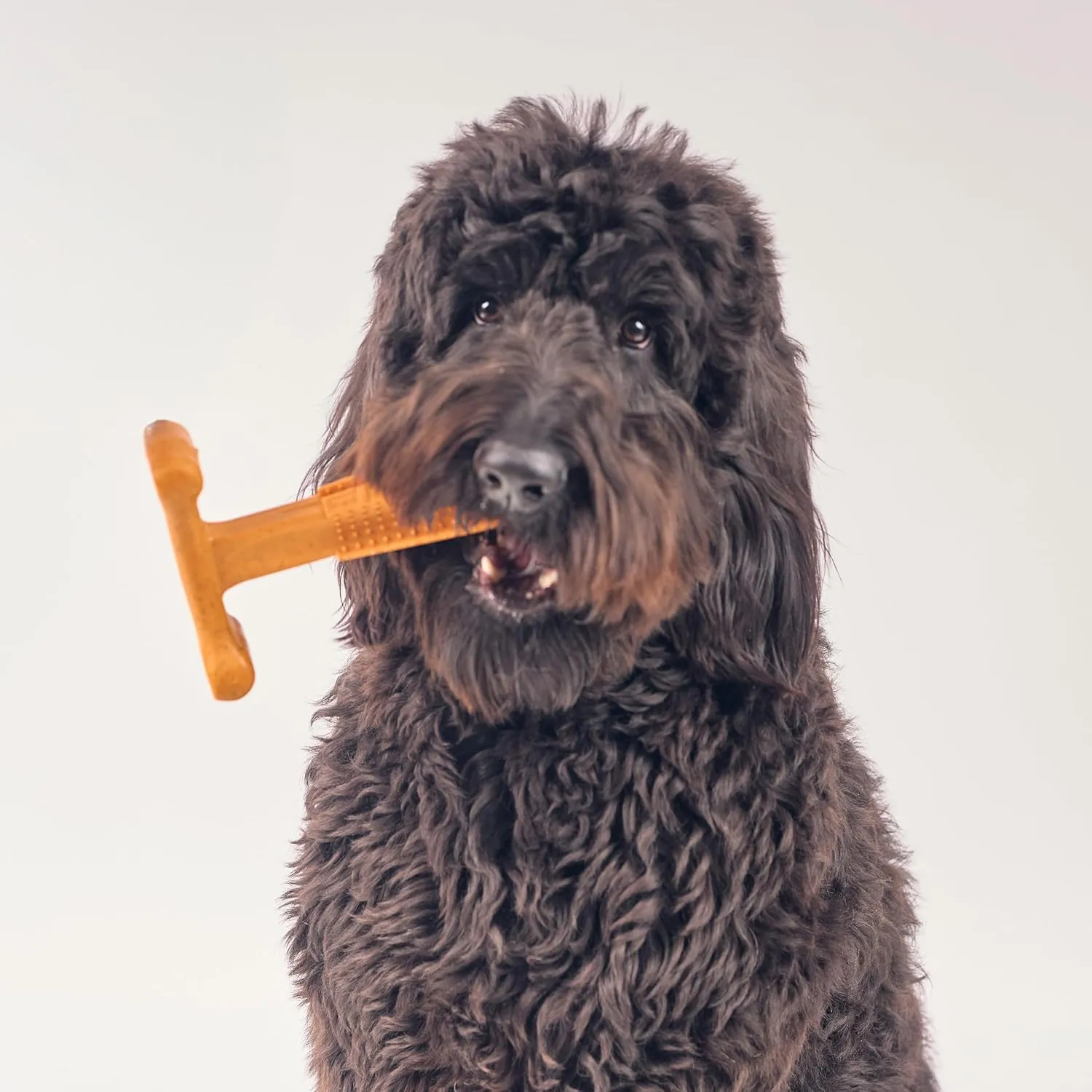 SPOT Bam-Bones Plus T Bone - Bamboo Fiber & Nylon, Durable Long Lasting Dog Chew for Aggressive Chewers  Toy for Dogs & Puppies Under 90lbs, Non-Splintering, 7in, Allergen Free Peanut Butter Flavor
