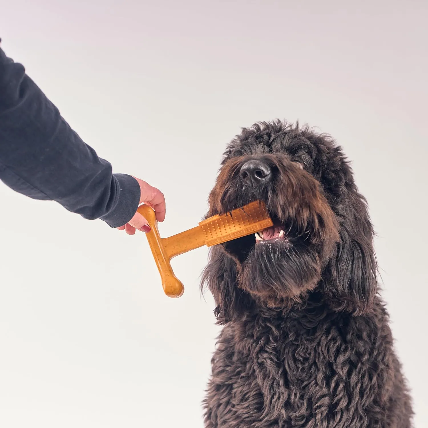 SPOT Bam-Bones Plus T Bone - Bamboo Fiber & Nylon, Durable Long Lasting Dog Chew for Aggressive Chewers  Toy for Dogs & Puppies Under 90lbs, Non-Splintering, 7in, Allergen Free Peanut Butter Flavor