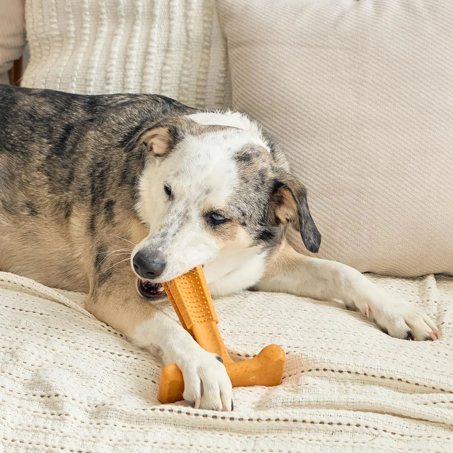 SPOT Bam-Bones Plus T Bone - Bamboo Fiber & Nylon, Durable Long Lasting Dog Chew for Aggressive Chewers  Toy for Dogs & Puppies Under 90lbs, Non-Splintering, 7in, Allergen Free Peanut Butter Flavor