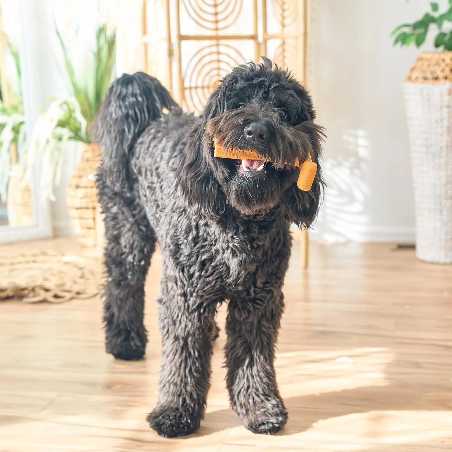 SPOT Bam-Bones Plus T Bone - Bamboo Fiber & Nylon, Durable Long Lasting Dog Chew for Aggressive Chewers  Toy for Dogs & Puppies Under 90lbs, Non-Splintering, 7in, Allergen Free Peanut Butter Flavor