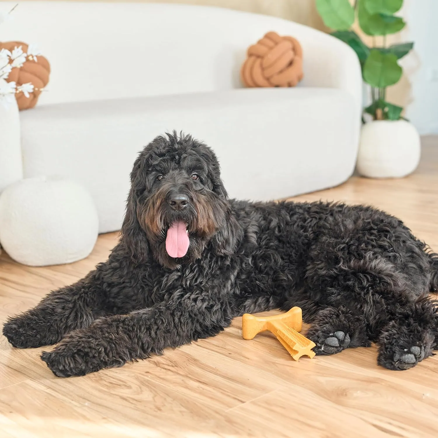 SPOT Bam-Bones Plus T Bone - Bamboo Fiber & Nylon, Durable Long Lasting Dog Chew for Aggressive Chewers  Toy for Dogs & Puppies Under 90lbs, Non-Splintering, 7in, Allergen Free Peanut Butter Flavor