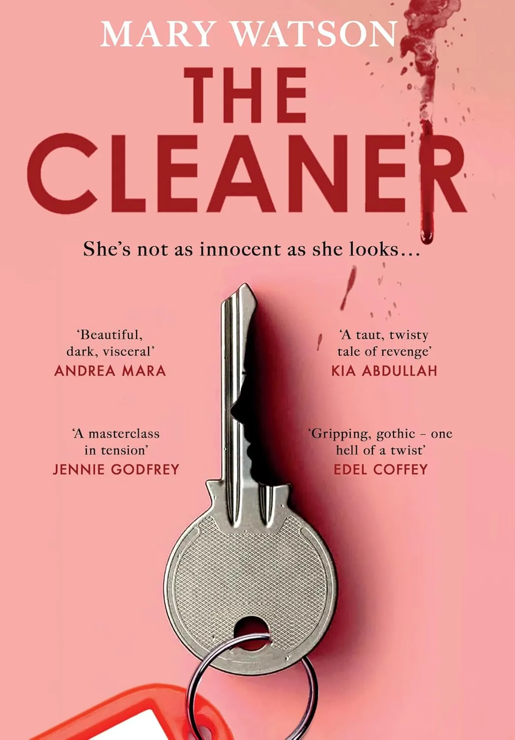 The Cleaner Hardcover  January 16, 2025