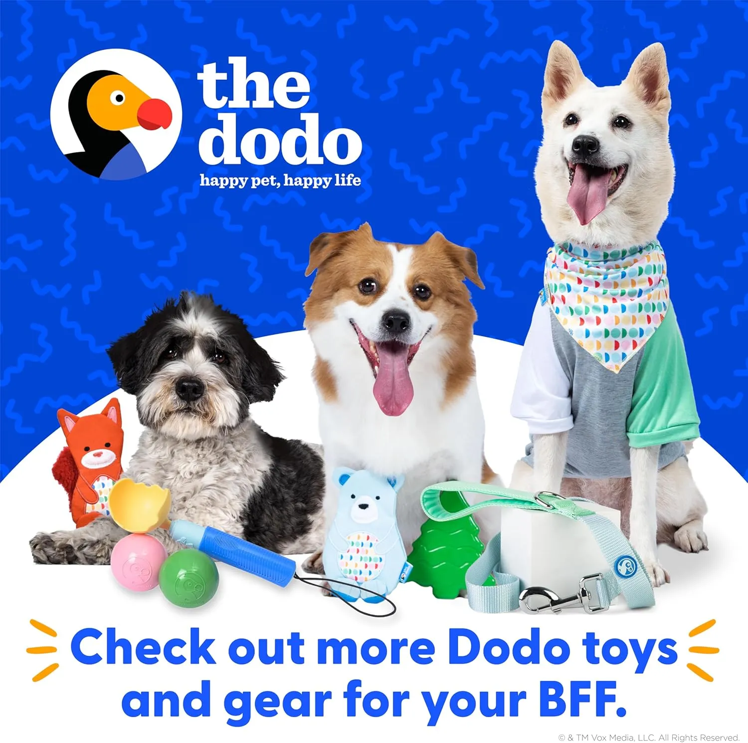 The Dodo Woodland Animals Stuffingless 2pc Dog Toy Set: Squirrel & Acorn; No Plush Squeaky Squirrel Flattie Dog Toy   Rubber Acorn Chew Toy; Durable Toys for Dogs