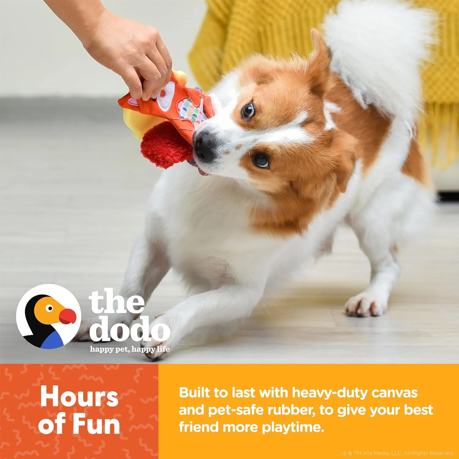 The Dodo Woodland Animals Stuffingless 2pc Dog Toy Set: Squirrel & Acorn; No Plush Squeaky Squirrel Flattie Dog Toy   Rubber Acorn Chew Toy; Durable Toys for Dogs