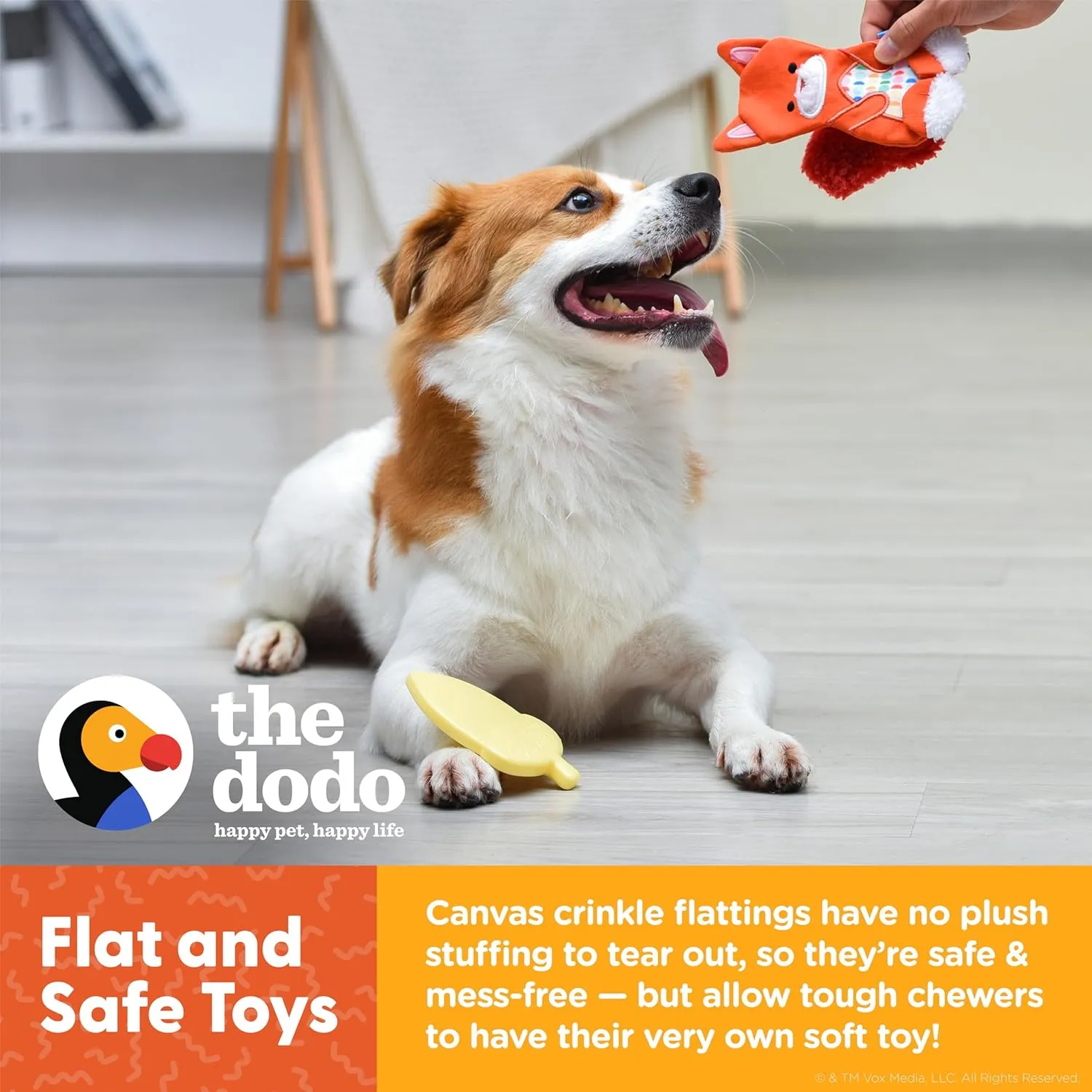 The Dodo Woodland Animals Stuffingless 2pc Dog Toy Set: Squirrel & Acorn; No Plush Squeaky Squirrel Flattie Dog Toy   Rubber Acorn Chew Toy; Durable Toys for Dogs