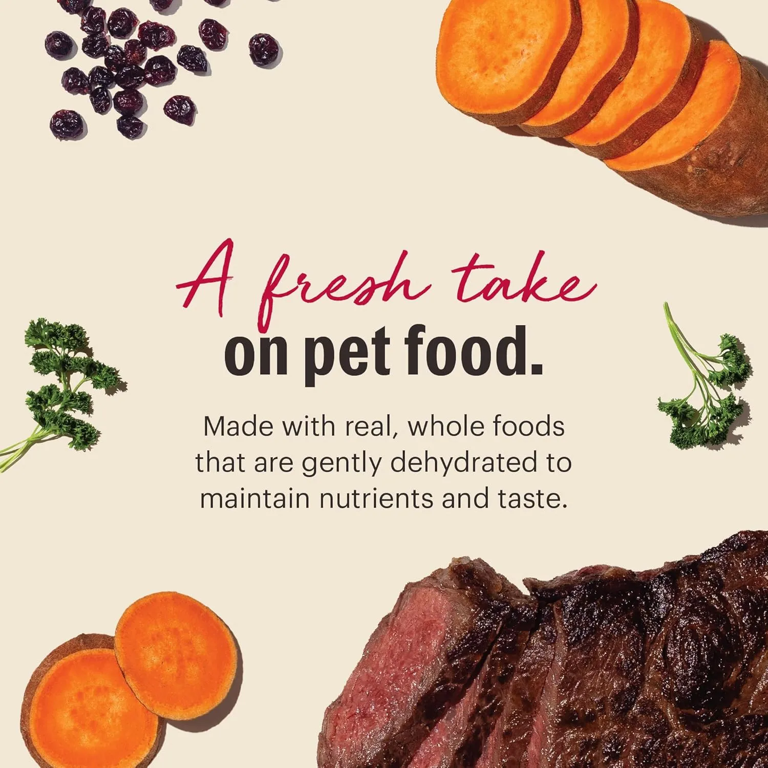 The Honest Kitchen Human Grade Dehydrated Grain Free Dog Food  Complete Meal or Dog Food Topper  Beef 10 lb (makes 40 lbs)