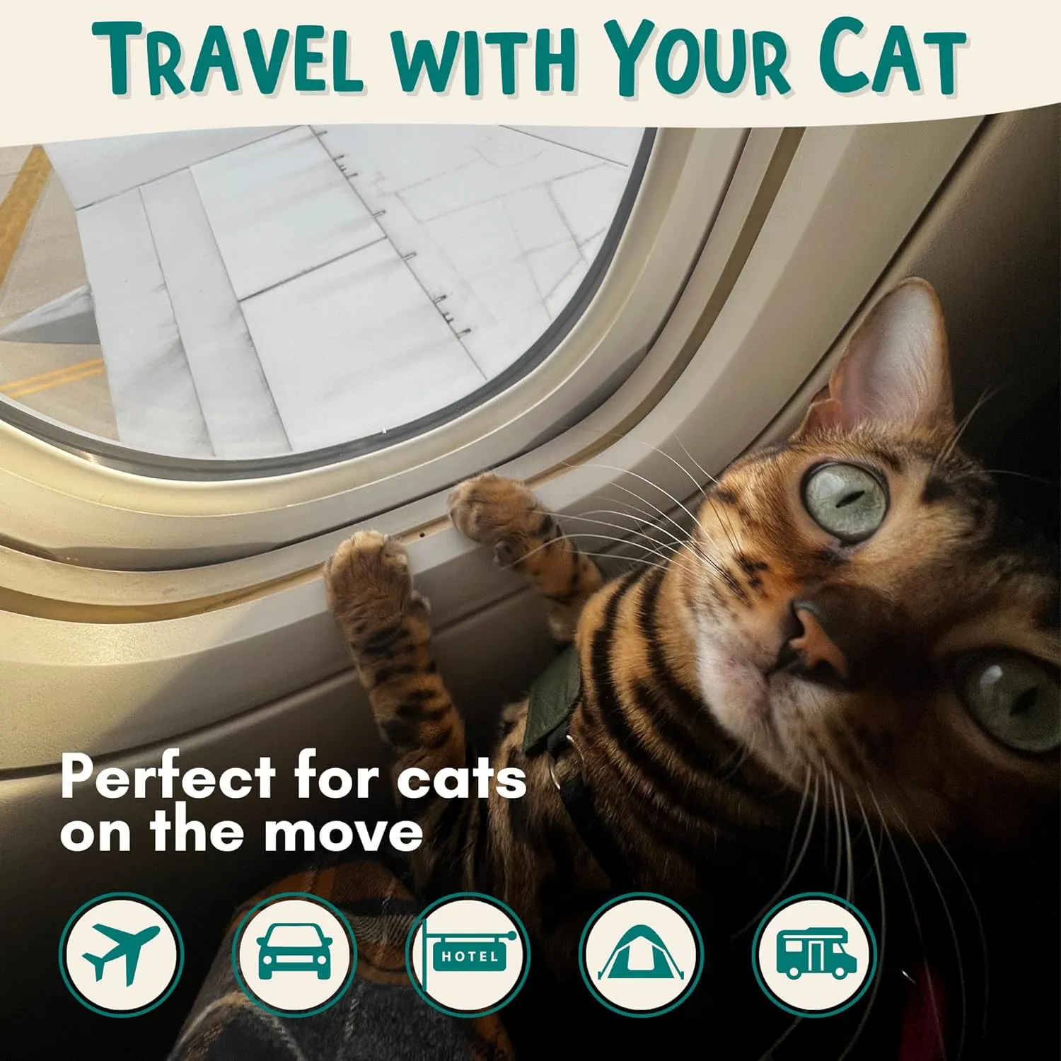 Travel Litter Box Kit for Cats (3in1) by OutdoorBengal  1 Litter Tray   1 Litter Bag   1 Small Scooper (Leak-Proof & Odor-Resistant, Portable & Collapsible) Ideal for Car, Plane, Camping & Hotels