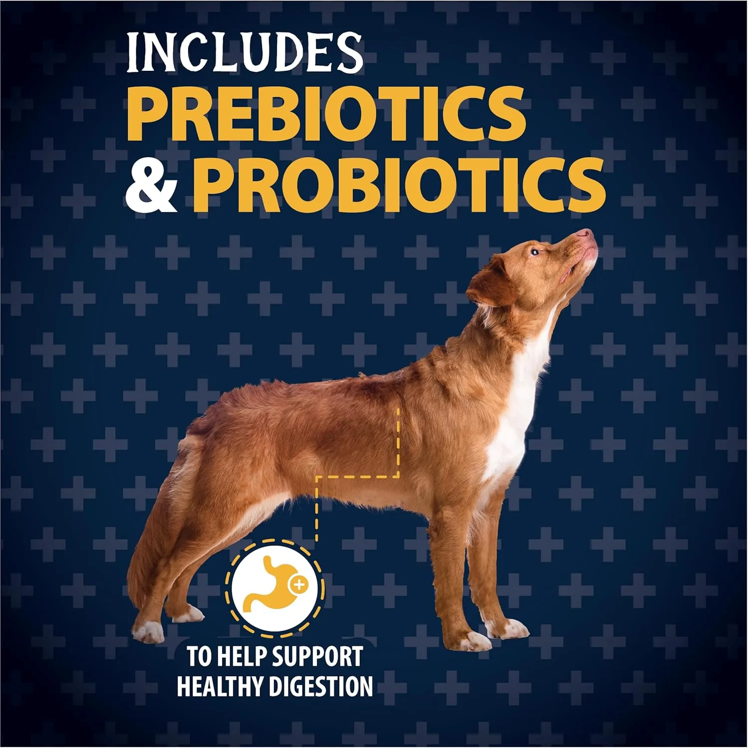 Triumph Grain-Free Salmon And Sweet Potato Dog Food, 28 Lb.