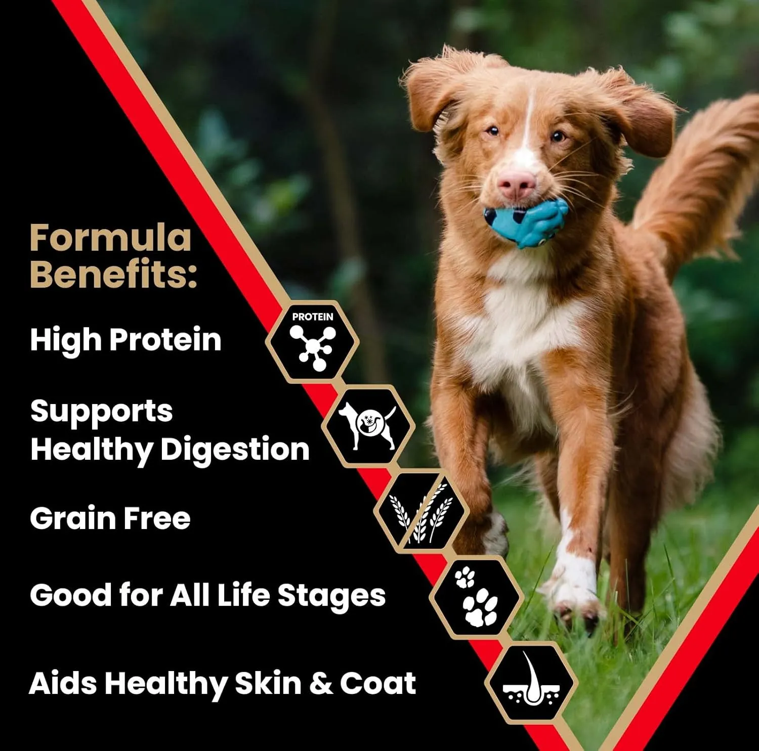 VICTOR Super Premium Dog Food  High Protein Grain Free Active Dog & Puppy Kibble  Dry Food with 33% Protein, Gluten-Free - Premium Beef, Pork, Fish Meals for High Energy Dogs, 30lbs