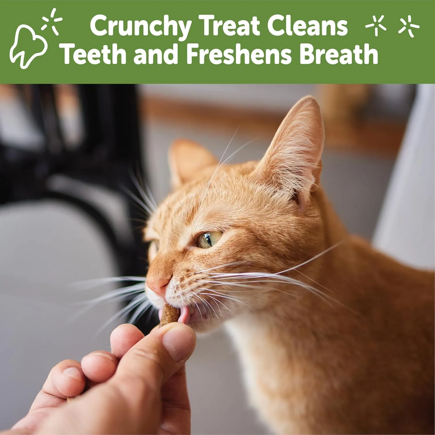 WHIMZEES Wellness Cat Dental Treats, Natural Chews, Chicken and Salmon Flavor, (4.5 Ounce Bag)
