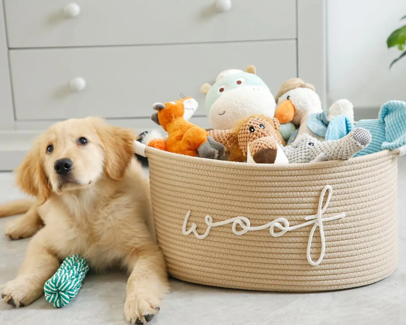 Woof Woven Rope Storage Baskets, Pet Dog Toy Bin Box Perfect for organizing Chew Toys Blankets leashes, Dog Toy holder Cotton Basket Puppy Bins